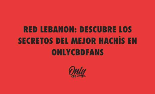 RED LEBANON DESCUBRE LOS SECRETOS DEL MEJOR HACHÍS EN ONLYCBDFANS